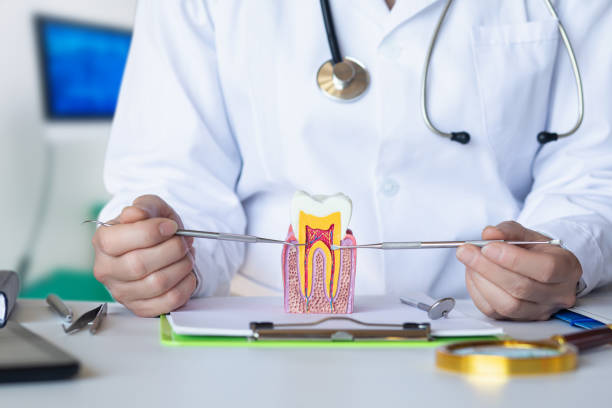 Best Cracked Tooth Emergency Dentist  in Yankton, SD